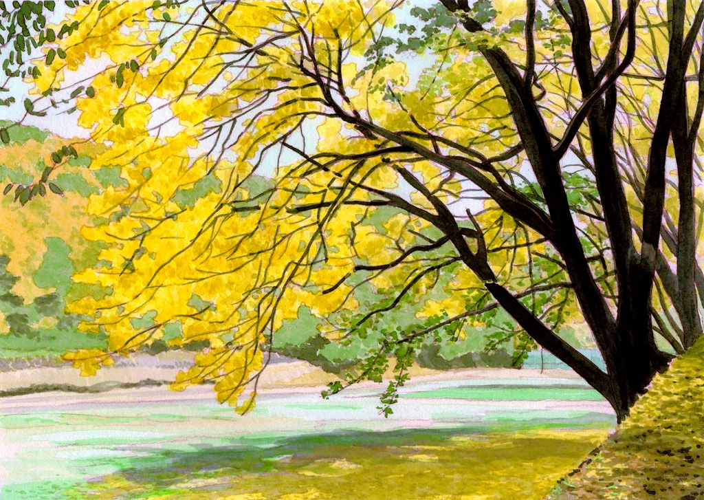 野津田・雑木林の会」写真集 秋